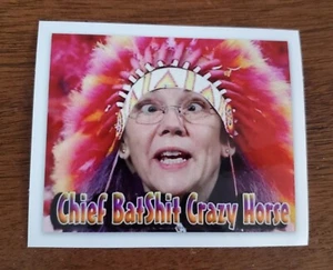 Elizabeth Warren Bumper Sticker Decal Made In USA 🇺🇸  - Picture 1 of 1