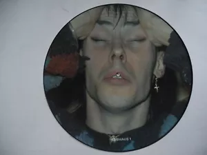 BAUHAUS The Interview Situation PICTURE DISC LP 1983 UK VG+ - Foto 1 di 3