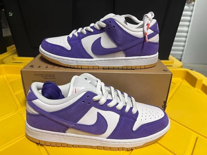 Nike Dunk Pro SB Low Bic for Sale | Authenticity Guaranteed | eBay