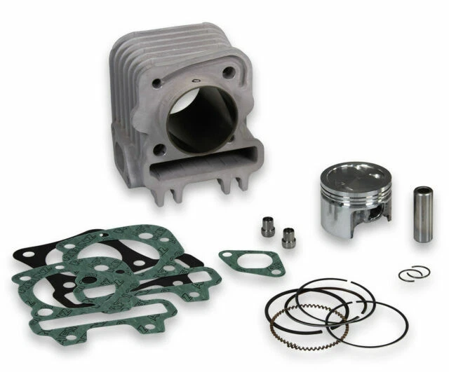 Malossi 3117771 Cilindro in Alluminio con Spinotto per Piaggio Libery 50 4T - Argento