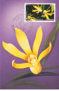 Card Maximum #23392 New Caledonia Noumea 1991 Orchids - Picture 1 of 2
