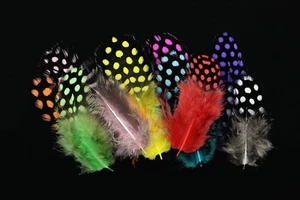 100pcs 11 mixed Colors Fly Tying Guinea Fowl Plumage Hackle Spotted Hen Material - Picture 1 of 12