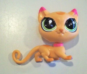 Littlest Pet Shop LPS Cat ~ Neon Fancy Purrkins 313 - Picture 1 of 2