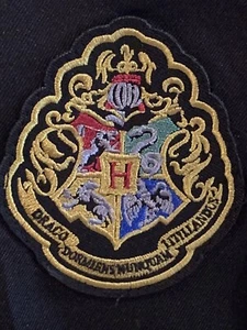Harry Potter Hogwarts Draco Child's Cosplay Halloween Wizard Cloak Cape Robe - Picture 1 of 11