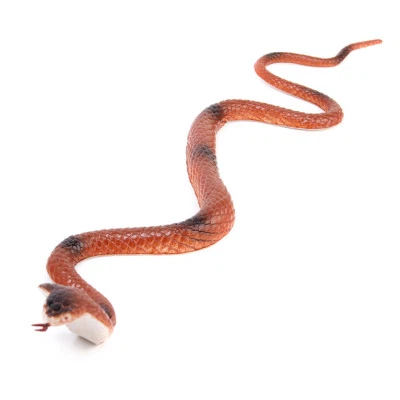 König Kobra Reptil Modell Schlange Realistisches Spielzeug Ornament Streich Requisiten Witz 18"
