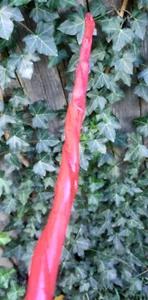Bacchetta intrecciata vite intagliata a mano 17" strega mago pagano fiera rinascimentale LARP #47 - Foto 1 di 11