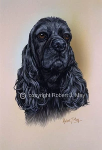 American Cocker Spaniel Print by Robert J. May - Picture 1 of 1