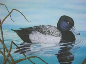 Tom Crain 1981 Missouri State Duck Stamp & Lt Edition Art Print New Wildlife - Bild 1 von 2