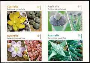 2017 Australian Succulents Complete Set of 4 Booklet S/A Stamps. - Picture 1 of 1