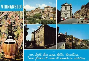 22-72D) VIGANELLO VEDUTINE FIASCO PIAZZA DELLA REPUBLICA TRAVELLED VITERBO - Picture 1 of 2