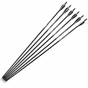 32" Archery Carbon Arrows SP500 Removable Tips for Recurve&Compound Bow Target - Picture 1 of 18