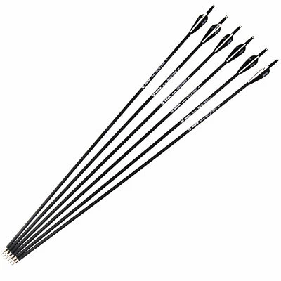 32" Archery Carbon Arrows SP500 Removable Tips for Recurve&Compound Bow Target - Image 1 of 4