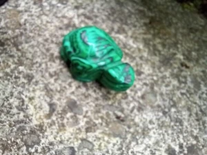 African Malachite carved TURTLE Natural gemstone  2" long x 1" high - Picture 1 of 4