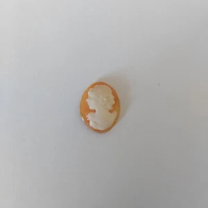 CAMMEI-CAMEI-CAMEO-CONCHIGLIA--VECCHIO PICCOLO CAMMEO-TORRE DEL GRECO-ANNI 40 - Foto 1 di 2