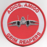 Patch Usn F 14 Tomcat Vf 213 Blacklions Ray Fist Parche Ebay