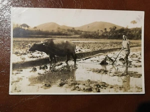 CPA JAPON - Homme Agriculteur Labourant une rizière avec son buffle - PHOTO CART - Bild 1 von 2