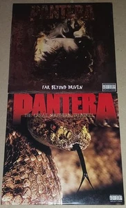 Pantera Far Beyond Driven & Great Southern Trendkill ~ FIRST VINYL PRESSINGS! - Picture 1 of 18