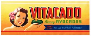 ETICHETTA CASSA ORIGINALE SAN DIEGO AVOCADO FALLBROOK LA HABRA PINUP GIRL ANNI 40 A39 - Foto 1 di 1