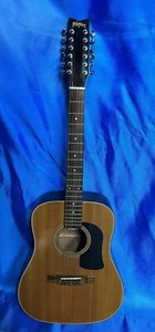 Washburn D-12S-12.  12 string guitar. Clean But Missing One String And A Plug. - Picture 1 of 8