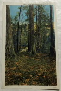 State Park, Near Traverse City, Michigan. Cartolina postale (A3) - Foto 1 di 2
