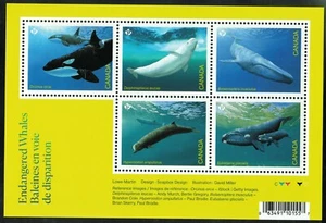 Canada sc#3327 Endangered Whales, Souvenir Sheet, Issued May 20, Mint-NH - Picture 1 of 6