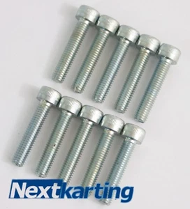 Nuevos pernos M6 X 50 mm x10 para kart vainas laterales piñón / Rotax max X30 Cadet Kart. - Imagen 1 de 1