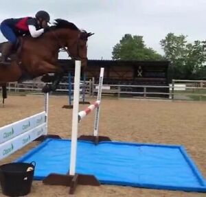 Show Jumps Large Water Tray 1.8 X 3m Made From Pvc Canvas 