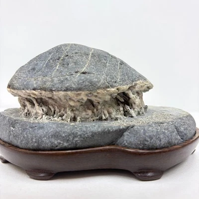 Piedra japonesa SUISEKI 5,1 pulgadas de ancho roca de visualización natural forma de casa KUZUYA Foto 1 de 4