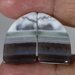 25.30 Ct Natural Owyhee Blue Opal Pair Jasper Gemstone Cabochon Earrings Jewelry - Picture 1 of 7