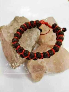 Auténtica pulsera 5 Mukhi Rudraksha: eslabón divino con el Señor Shiva. - Imagen 1 de 5