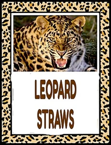 LEOPARD STRAWS, Lot 5, Reusable, 10 1/4" Long with Stopper Rings, Brown & Purple - Picture 1 of 9