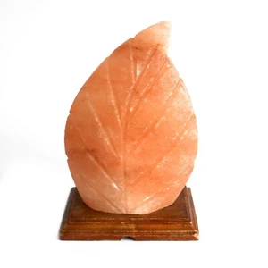 Himalayan Salt Lamps Shape Salt Lamp Fern - Picture 1 of 4