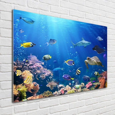 Glas-Bild Wandbilder Druck auf Glas 100x70 Deko Tiere Korallenriff - Bild 1 von 4