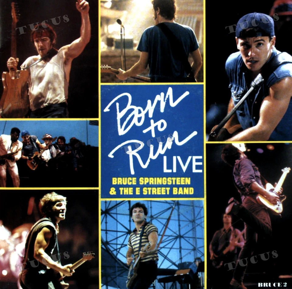 Bruce Springsteen - Born To Run 7" (VG) .* - Image 1 of 1