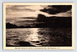Postcard New Brunswick Passamaquoddy Bay Canada Moonlight Night 1940s Unposted - Picture 1 of 2