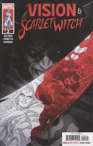 THE VISION & THE SCARLET WITCH #2 VF/NM MARVEL HOHC 2025 - Picture 1 of 1