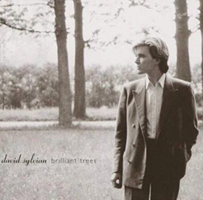 David Sylvian - Brilliant Trees - David Sylvian CD XSVG The Cheap Fast Free Post - Bild 1 von 2