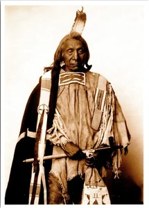 Red Cloud Ogalala Sioux Chief age 77 Native American Postcard - Picture 1 of 2
