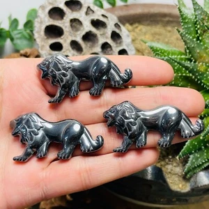 5 piezas Hematita Natural Cuarzo Tallado León Calavera Reiki Gema Curativa Decoración - Imagen 1 de 6