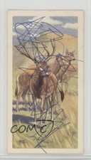 1963 Brooke Bond Wildlife in Danger Tea Mi-Lu or Pere David's Deer #15 4az