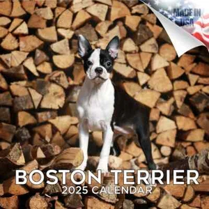 Boston Terrier Wandkalender 2025 Tier HUND HAUSTIER Liebhaber Geschenk - Bild 1 von 2