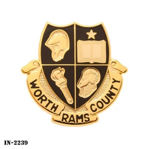Worth County High School ~ US Army JROTC DUI Crest Pin ~ NEW ~ Vanguard USA - Picture 1 of 2