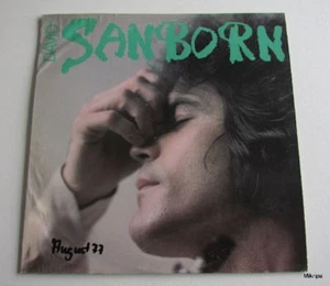 LP David Sanborn-Sanborn **Warner Brothers BS 2957,USA 1976 - Imagen 1 de 1