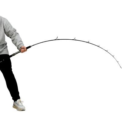 Varilla de plantilla giratoria Jigging de paso lento 6'5 50-80 lb 2 piezas para lubina de trucha salmón Foto 1 de 4