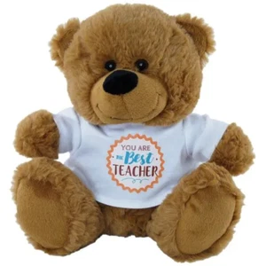 Brown Teddy Bear 23cm You Are The Best Teacher Shirt Plush Gift For Educators - Bild 1 von 5