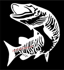 Calcomanía de vinilo BLANCA de 12" - Muskie peces barco de pesca camión pegatina divertida estanque lago marino - Imagen 1 de 1