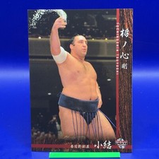 Tochinoshin Tsuyoshi - BBM Sumo Wrestler Trading Card 2016 Japan TCG Japanese 01