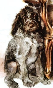 German Wirehaired Pointer - CUSTOM MATTED - Vintage Dog Art Print - Poortvliet - Picture 1 of 1