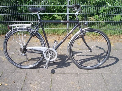 Raleigh Freedom 300 Tourenrad / Stadtrad / Herrenrad  - Bild 1 von 4