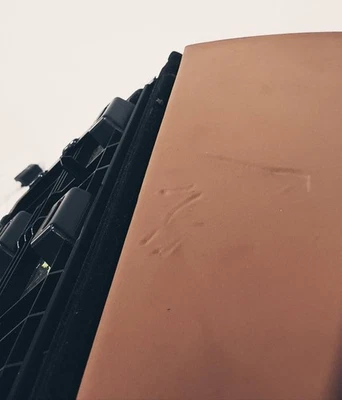 Bentley Continental GTC 2007 OEM conjunto de guantera sillín marrón 3w1857735c Foto 1 de 4